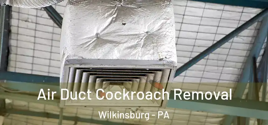  Air Duct Cockroach Removal Wilkinsburg - PA