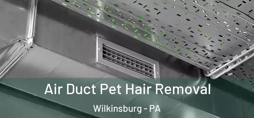  Air Duct Pet Hair Removal Wilkinsburg - PA
