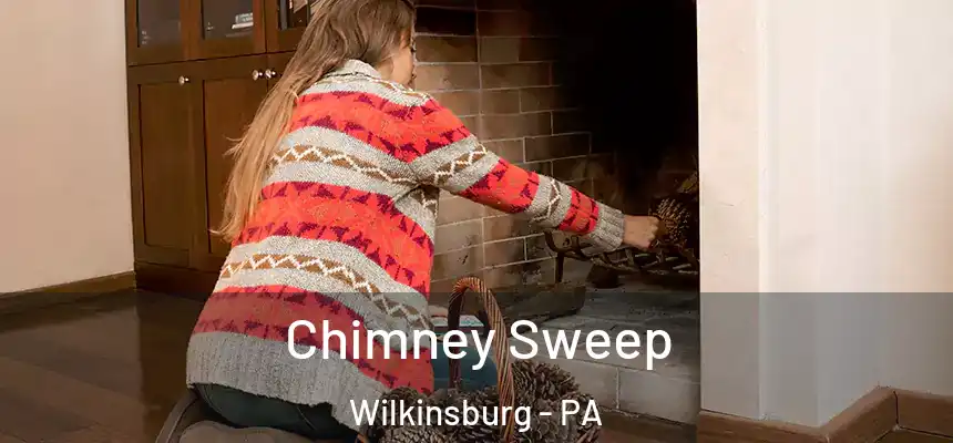 Chimney Sweep Wilkinsburg - PA