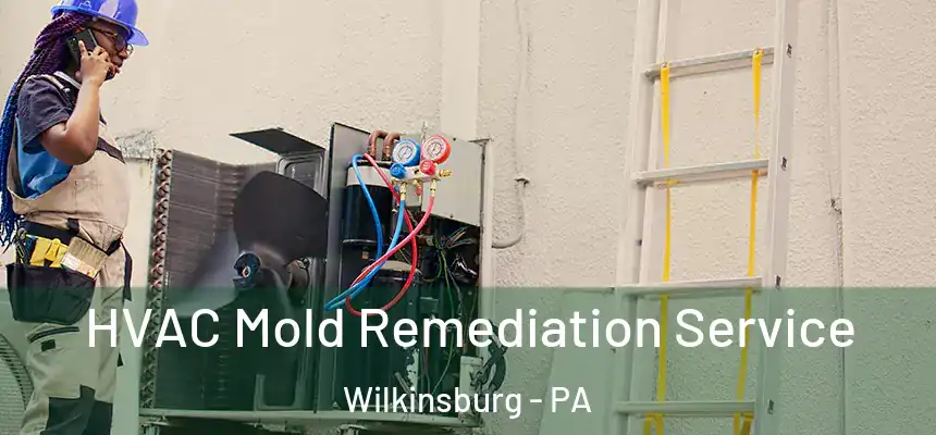  HVAC Mold Remediation Service Wilkinsburg - PA