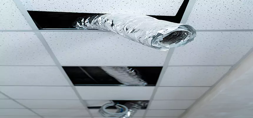 Affordable HVAC Sanitizing After Pest Removal in Wilkinsburg