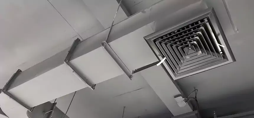 Restorative Allergy Relief Vent Cleaning – Coil, Blower & Housing Detail in Wilkinsburg