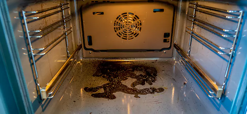 Our Dryer Vent Mold Cleaning Services in Wilkinsburg, PA