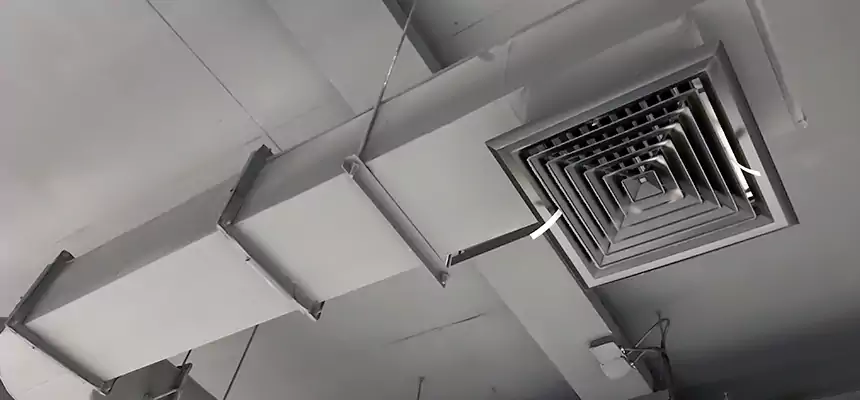 Our Pest Removal From Ducts Services in Wilkinsburg, PA