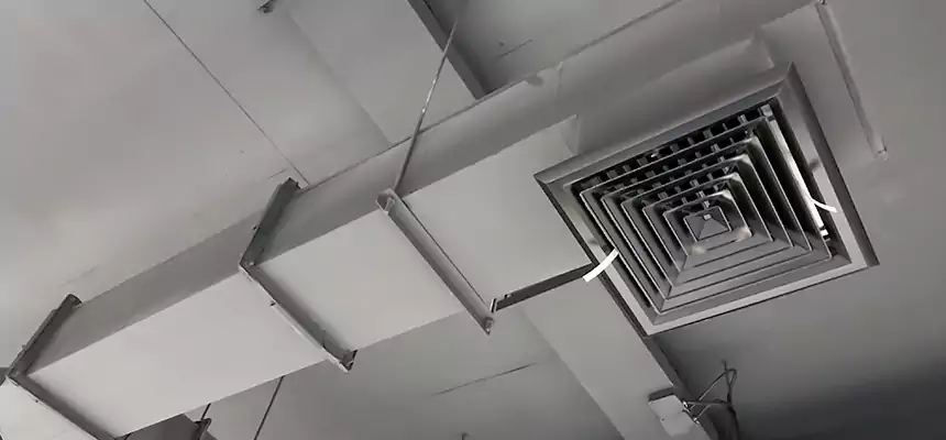 Our Rodent Droppings In Vents Services in Wilkinsburg, PA