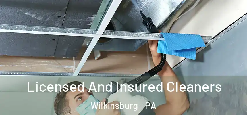  Licensed And Insured Cleaners Wilkinsburg - PA
