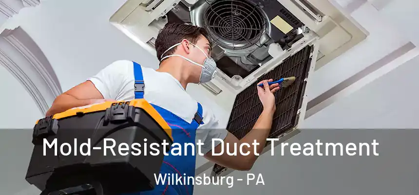  Mold-Resistant Duct Treatment Wilkinsburg - PA
