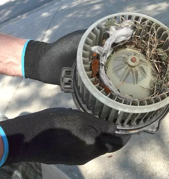 About Air Duct Rat Removal in Wilkinsburg, PA