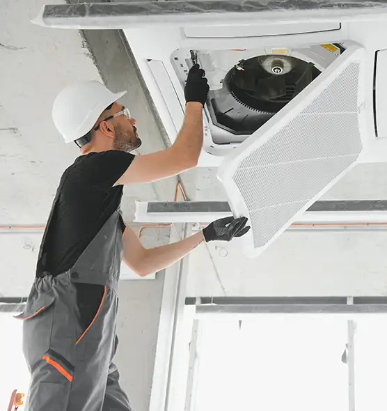 About Air Duct Rodent Removal in Wilkinsburg, PA