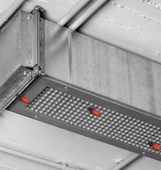 Affordable Insect Removal from Air Ducts in Wilkinsburg, PA