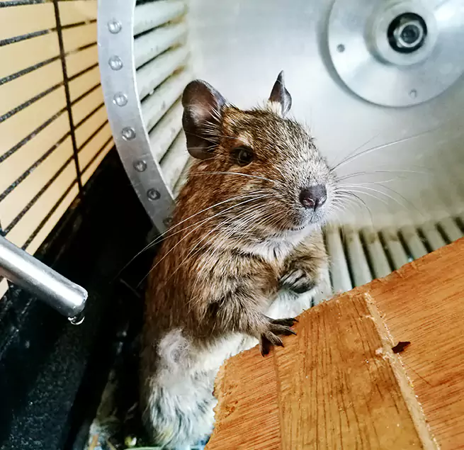 Why Homeowners & Businesses Trust Us Wilkinsburg, PA